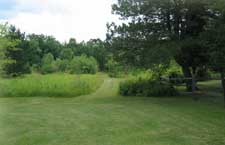 landscape project 1